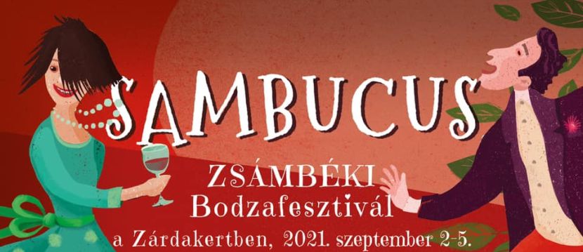 Sambucus bodza Zsámbék