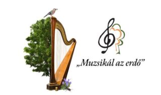 muzsikal az erdo kecskemét