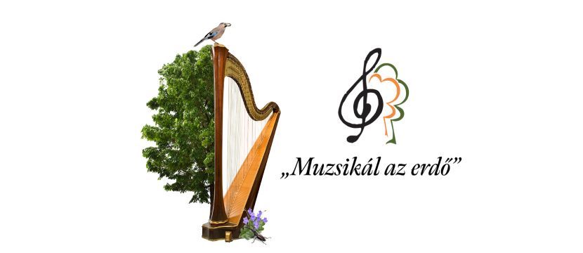 muzsikal az erdo kecskemét