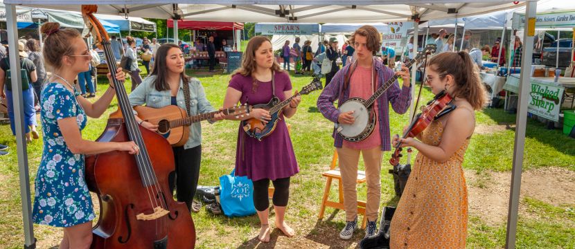 egy amerikai bluegrass zenekar