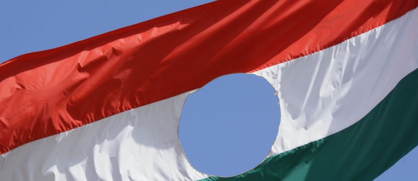 Magyar forradalmi zaszlo wikimedia